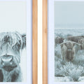 Stratton Home Decor Boho Set of 2 Highland Cows Framed Wall Art Under Glass